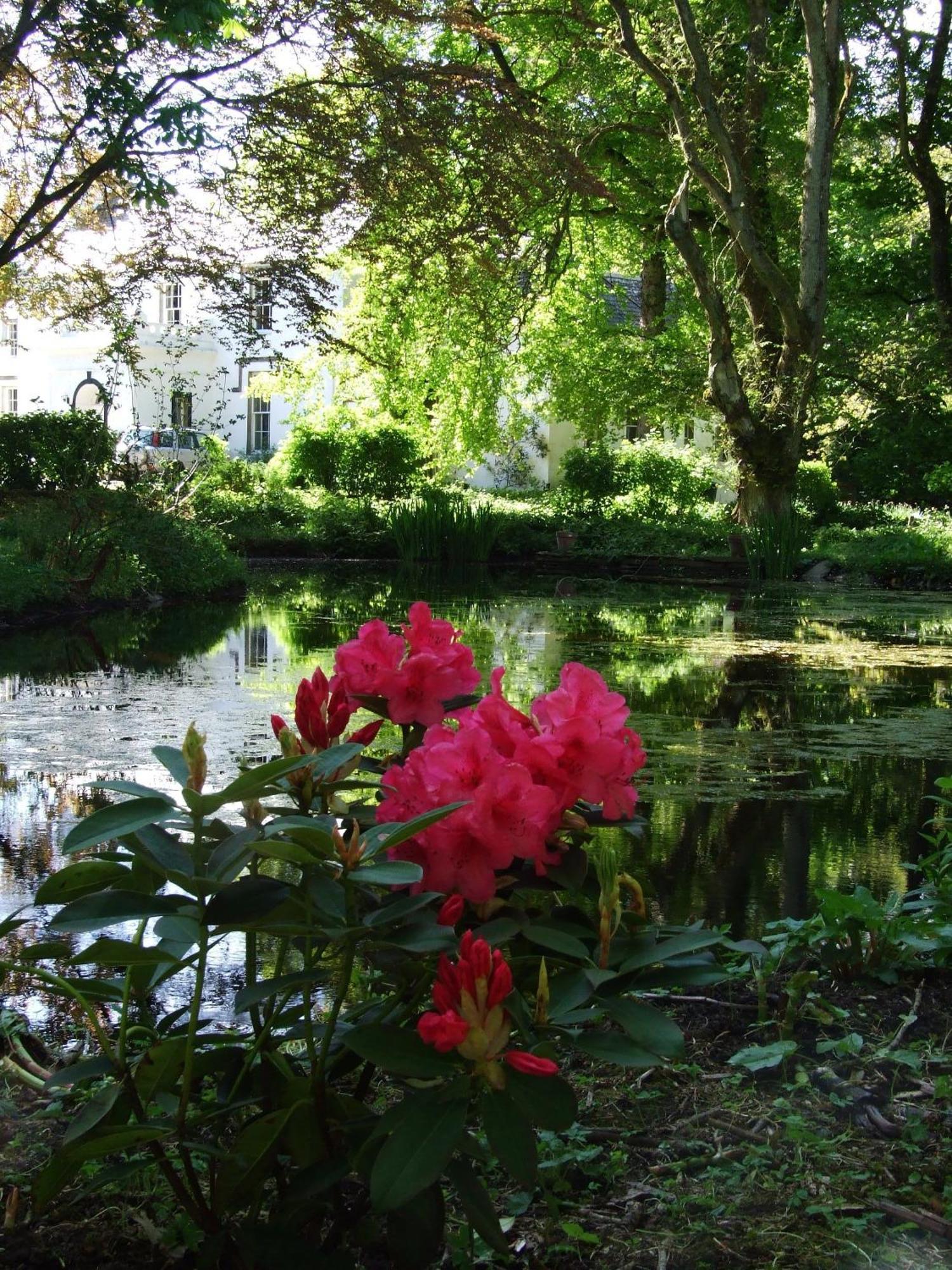 Thrumster House Wick  Luaran gambar